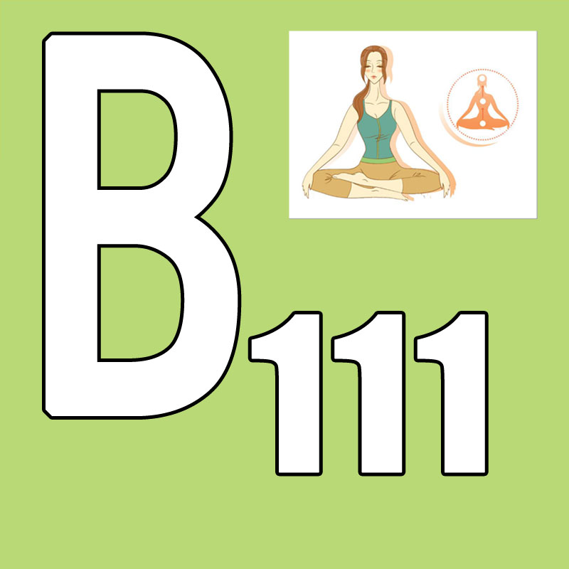 Pilates Yoga Taichi - 핫세일 최신 출시 2026.Q1 신규 코스